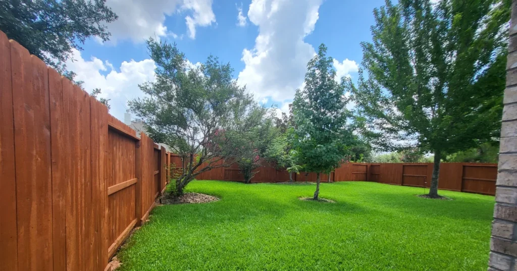 Fence Stain Color Ideas for Houston Homes: Boost Your Curb Appeal 2 After fence cleaning and staining Sugar Land TX showing beautiful cedar fence with rich brown wood stain finish in residential backyard with lush green lawn