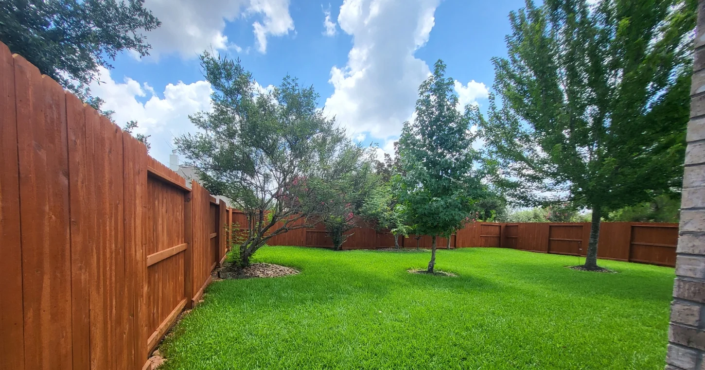 Completed Staining Projects 2 After fence cleaning and staining Sugar Land TX showing beautiful cedar fence with rich brown wood stain finish in residential backyard with lush green lawn