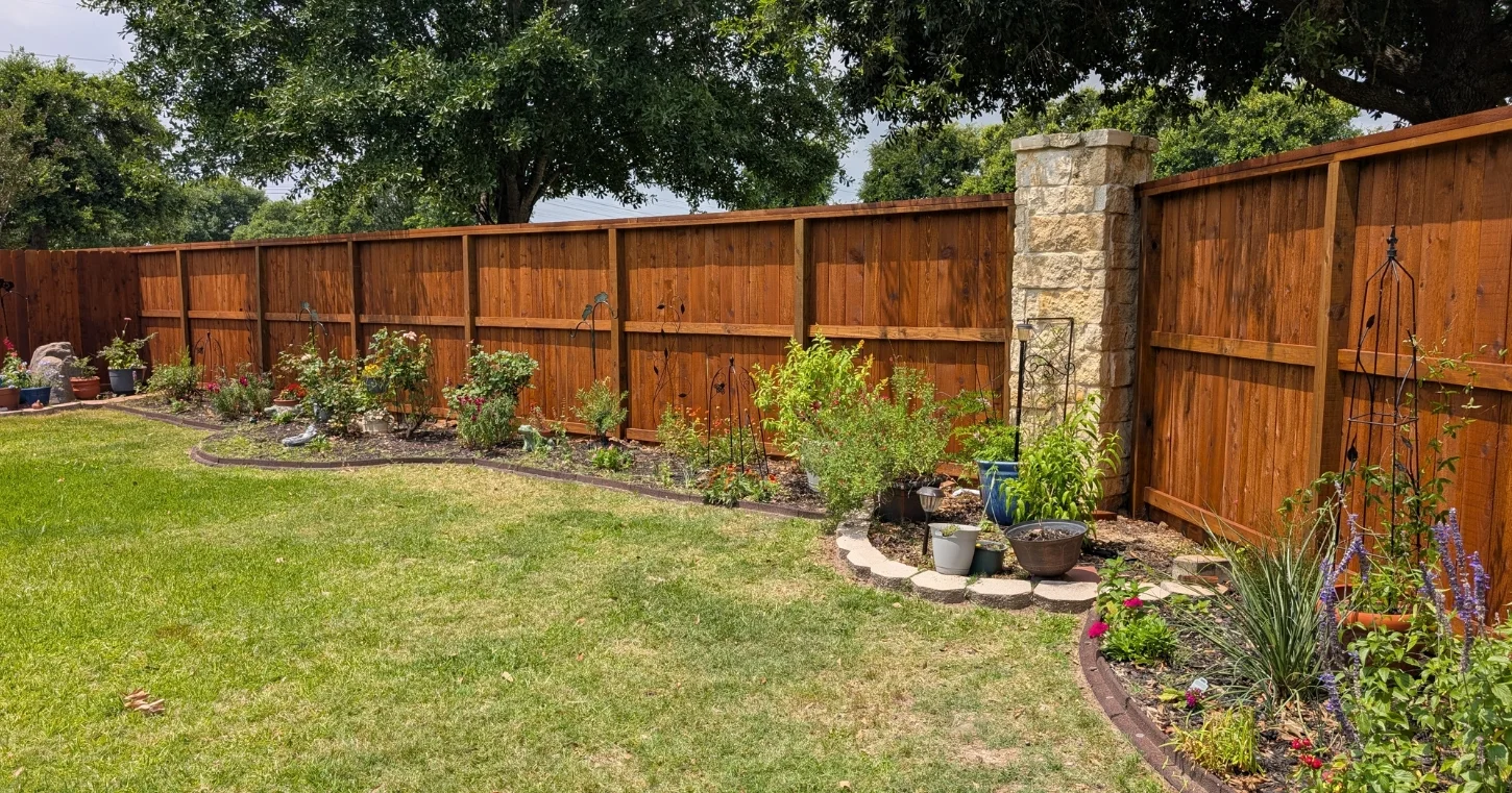 Completed Staining Projects 9 After fence staining Montgomery TX showing beautiful cedar fence with rich brown wood stain finish in residential backyard with landscaped garden beds and lush green lawn