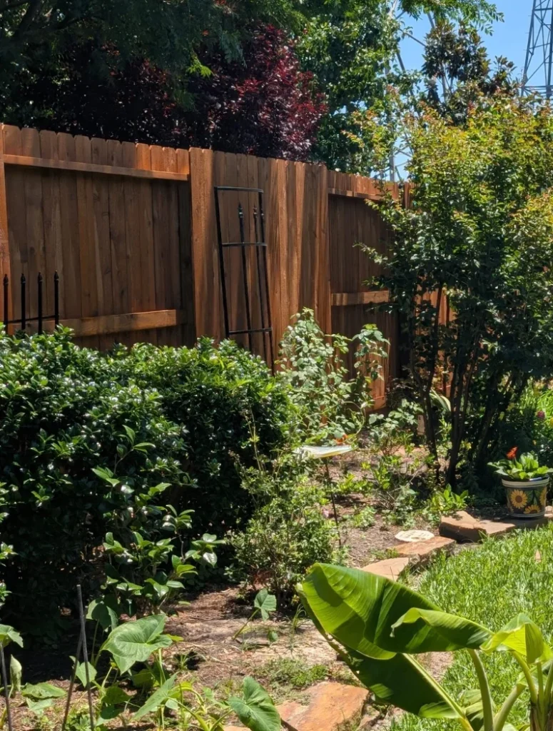 freshly stained wood fence the woodlands tx professional service