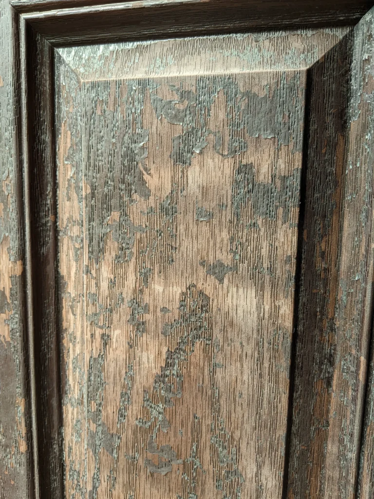 Door Refinishing 5 front door without stain 1